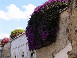 Antigua Guatemala, Guatemala