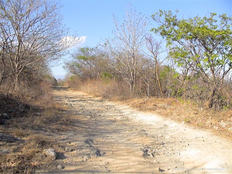 Jeep Road to the Beach, Santa Rosa