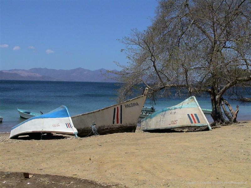 Fishing boat named Paloma