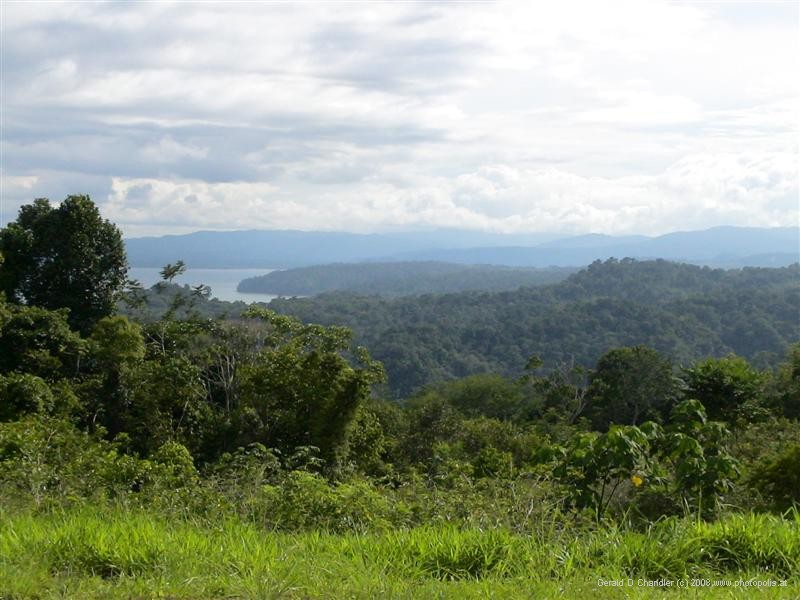 View of Golfo Dulce
