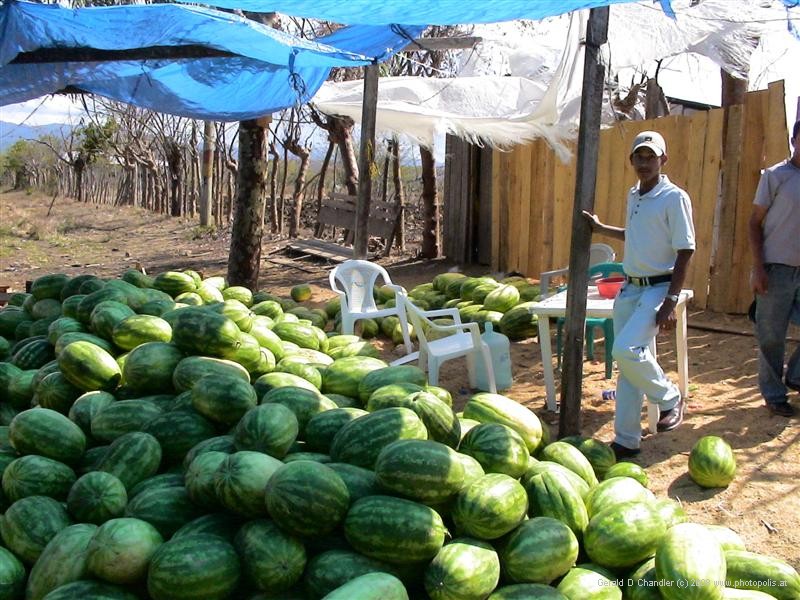 Watermellon seller, near Los Manos