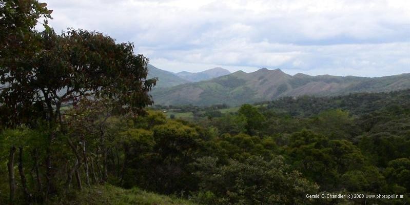 Mountain View, Boquette