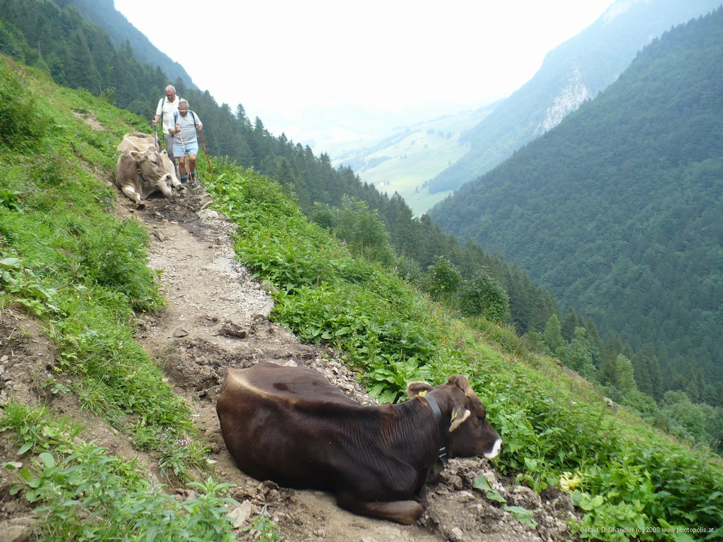 Seealpsee, Switzerland