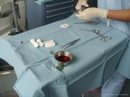 The Right Knife for Gerry