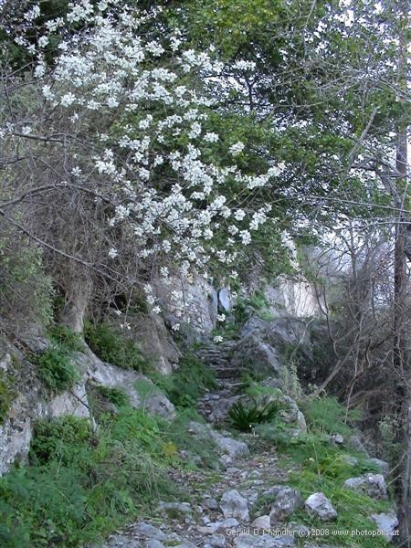 mystras-104c.jpg