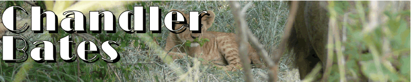 May 16, 2007 == Welcome (flash) page