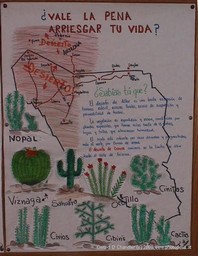 Admonishments to Would-be Illegal Immigrants