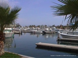 San Carlos Marina