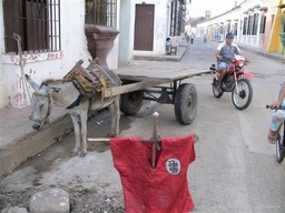Street Life: Rebuilding a house
