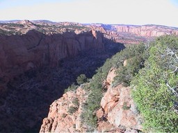 Navajo National Monument