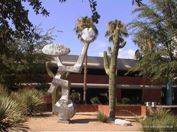University of Arizona