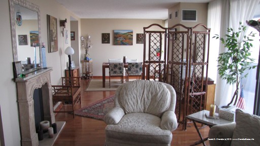 Living-Dining Room (not our furniture)