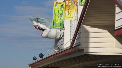 There's something for everybody