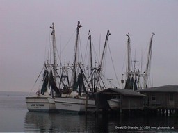 St Marys Waterfront
