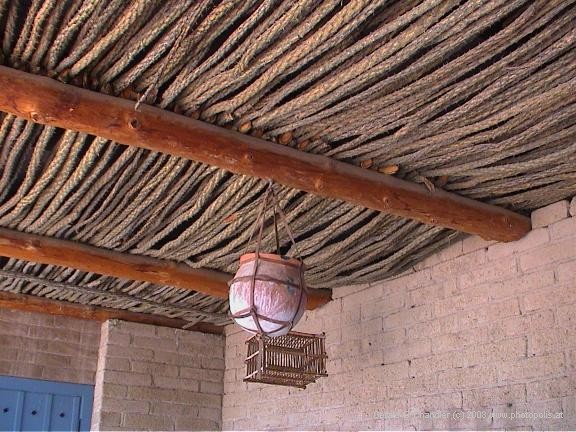 Ocotillo Branch Ceiling