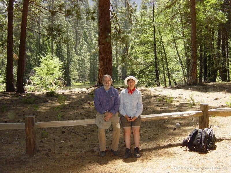 Jan & Gerry, Babes in the Wood