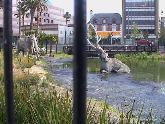 La Brea Tarpits - Drowning Mastadon